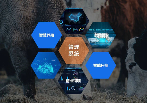 微信图片_20250515144806.jpg